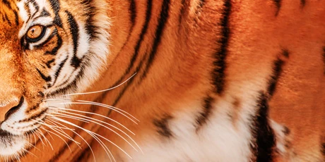 Den s RBP v ZOO Hodonín 2025